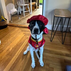 Paw Patrol “Marshall” Dog Costume. Size large. Used once 🎃